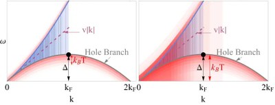 Desemmascarant l'empremta microscòpica en característiques de temperatura finita d'un gas Bose unidimensional