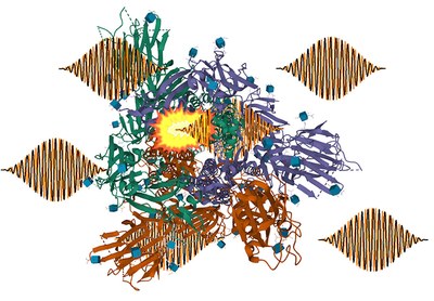 Es proposa mètodes innovadors per fragmentar de manera selectiva molècules amb raigs X làser