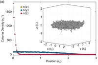First theoretical study of Bose-Einstein condensate of a system of polar molecules developed
