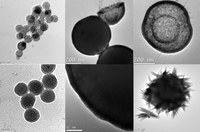 Juan Carlos Flores defends his thesis on the synthesis of new functionalized nano-particles.