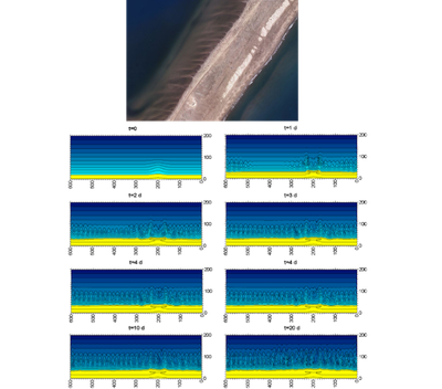 New physical mechanism for the formation of transverse finger bars in beaches with abundant supply of sand