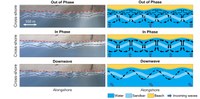 Rinse de Swart defends his thesis on beach dynamics