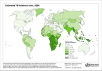 Clara Prats i Nura Ahmad se basan en modelos matemáticos para mejorar el control de la tuberculosis en Nigeria